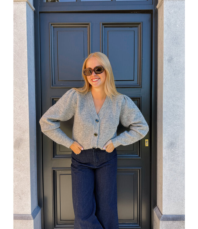 Lilly cardigan grijs