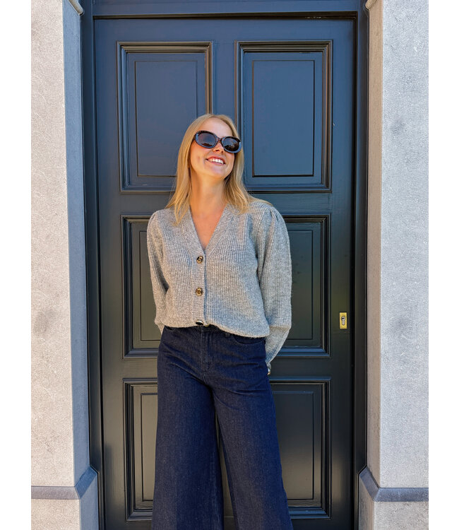 Lilly cardigan grijs