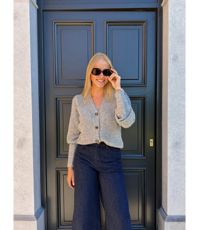 Lilly cardigan grijs