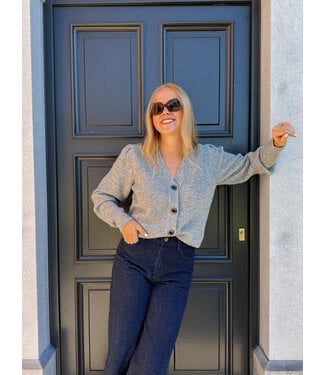 Lilly cardigan grijs