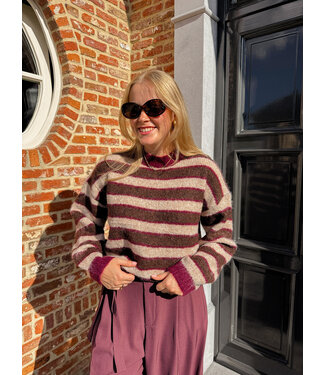 Eevi trui bordeaux/bruin