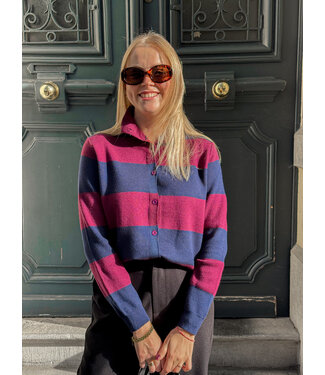 Amelia pull bordeaux-blauw