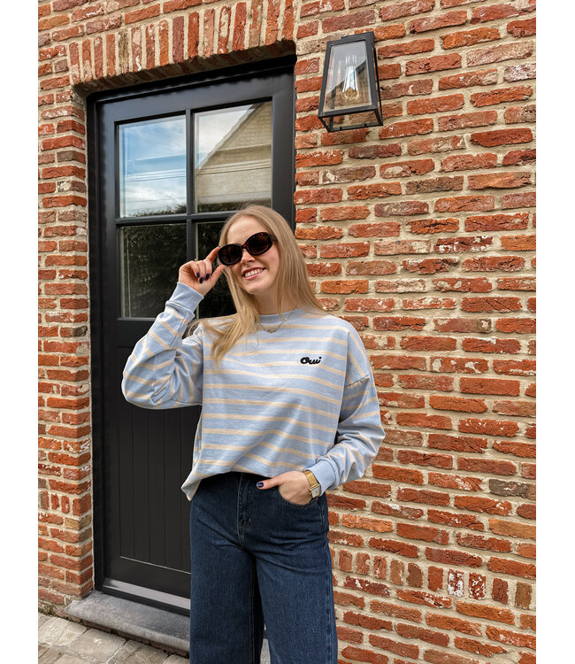 Osiria sweater lichtblauw-beige