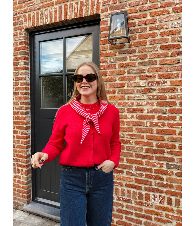 Ilva pull met sjaal rood