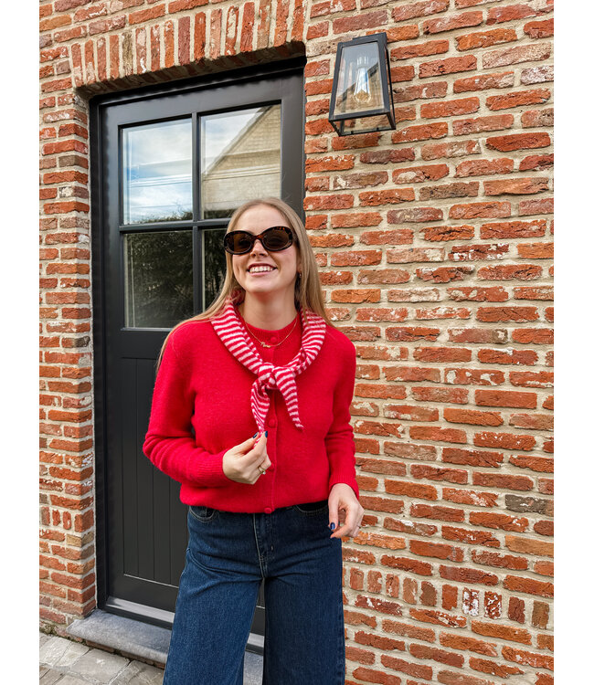 Ilva pull met sjaal rood