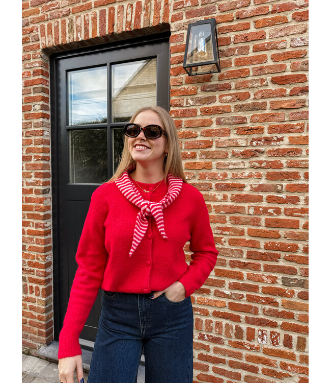 Ilva pull met sjaal rood