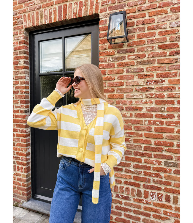 Ileane pull met sjaal geel