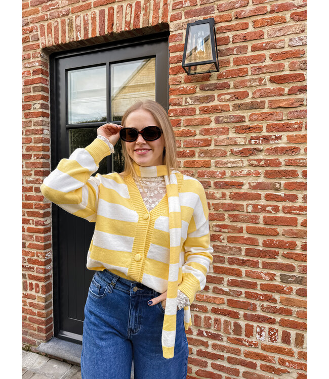 Ileane pull met sjaal geel
