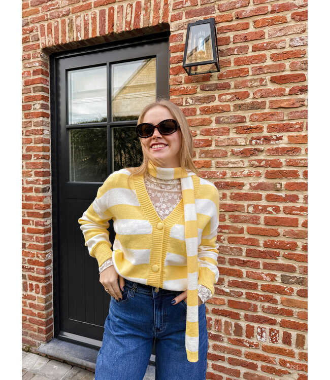 Ileane pull met sjaal geel