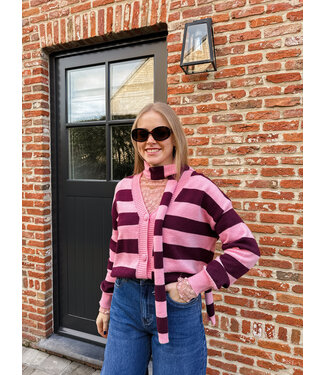 Ileane pull met sjaal burgundy-roze