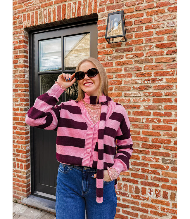 Ileane pull met sjaal burgundy-roze