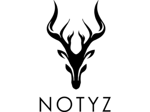 Notyz