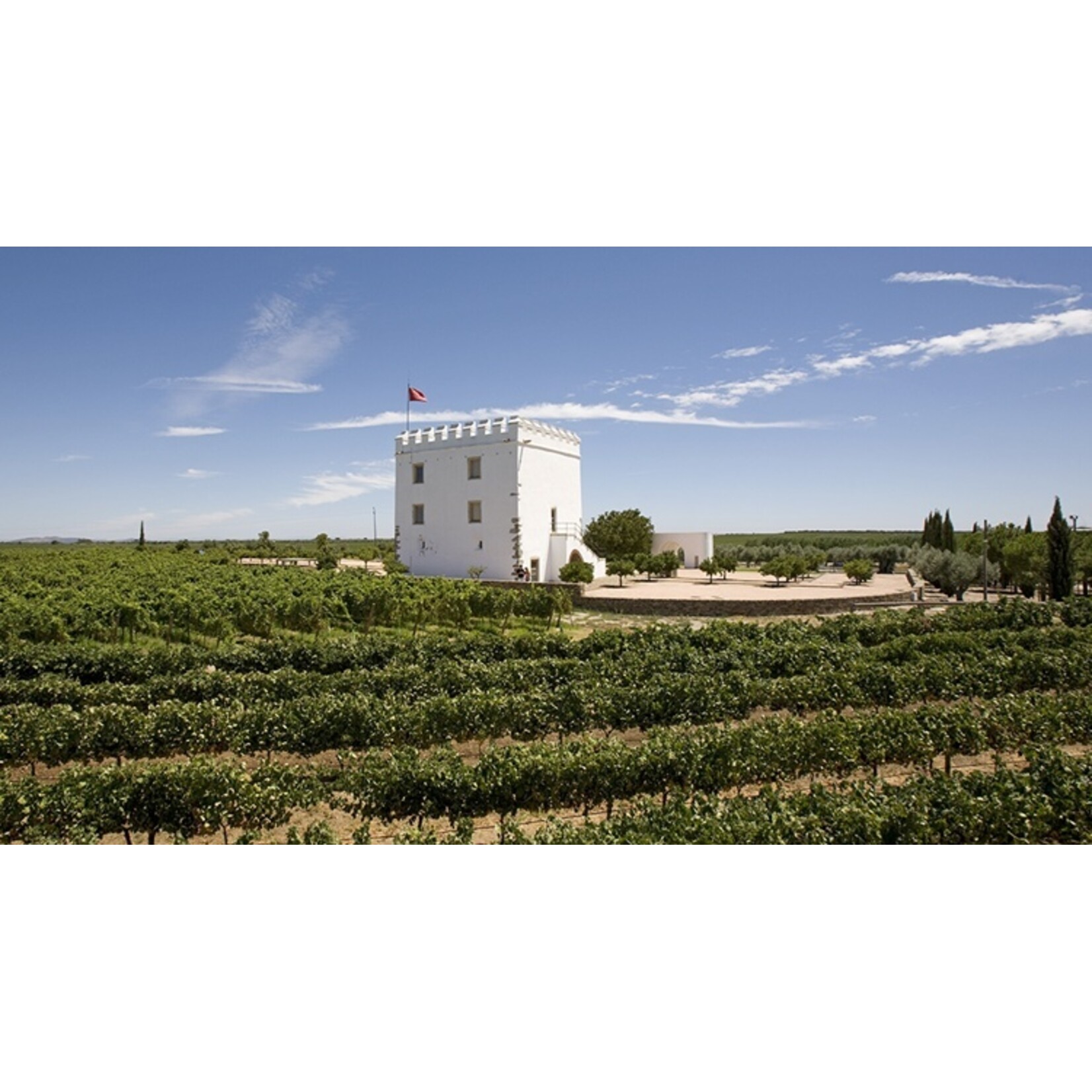 Pé Branco,  Alentejo,  Portugal