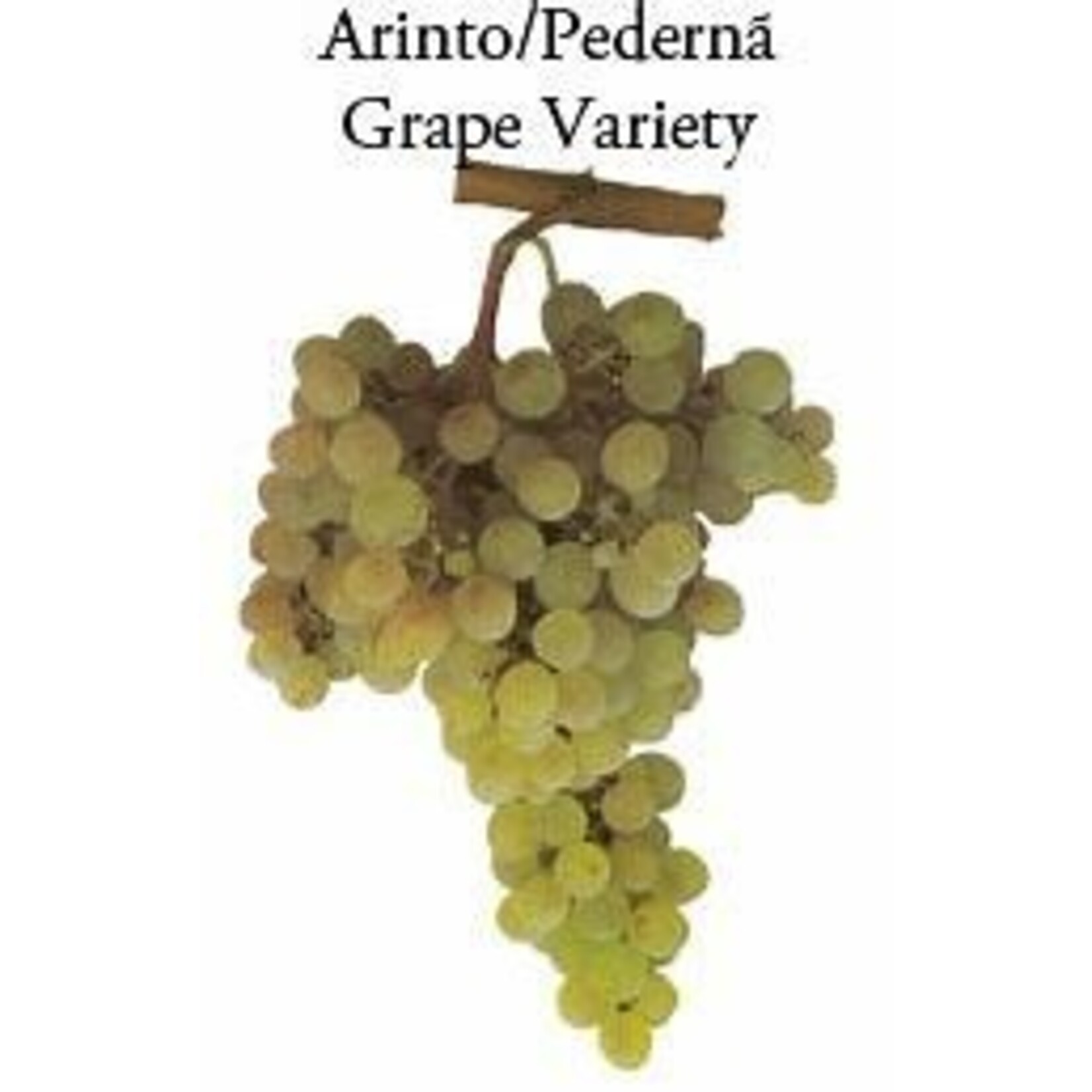 Pé Branco,  Alentejo,  Portugal