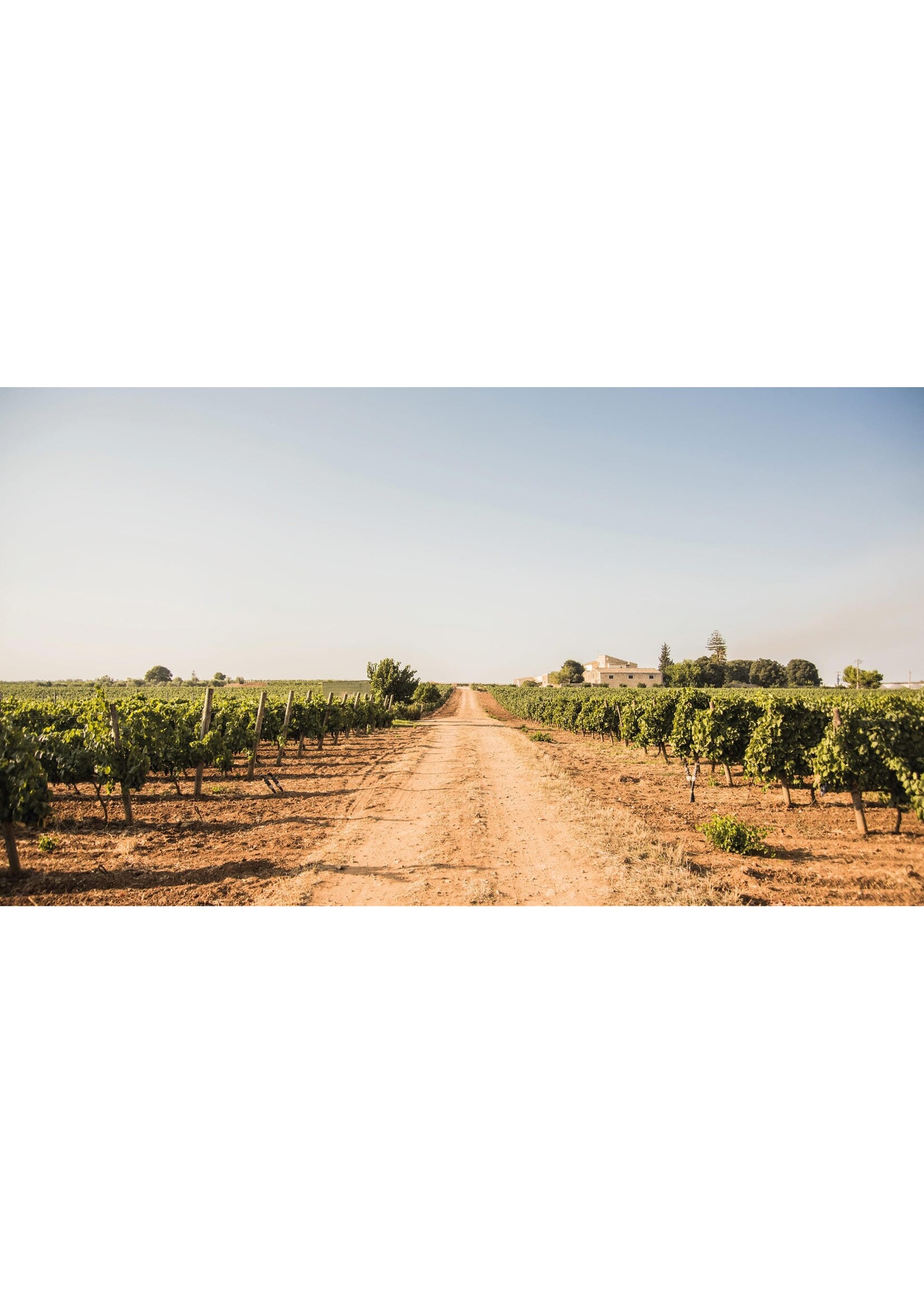 Santa Tresa, Sicilië, Italië (bio)