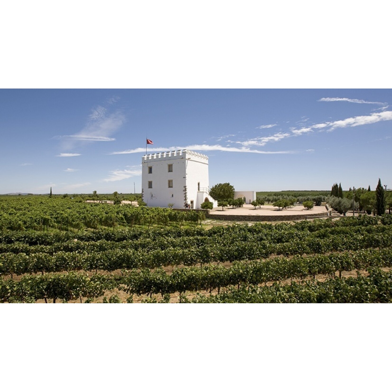 Pé Tinto, Alentejo, Portugal