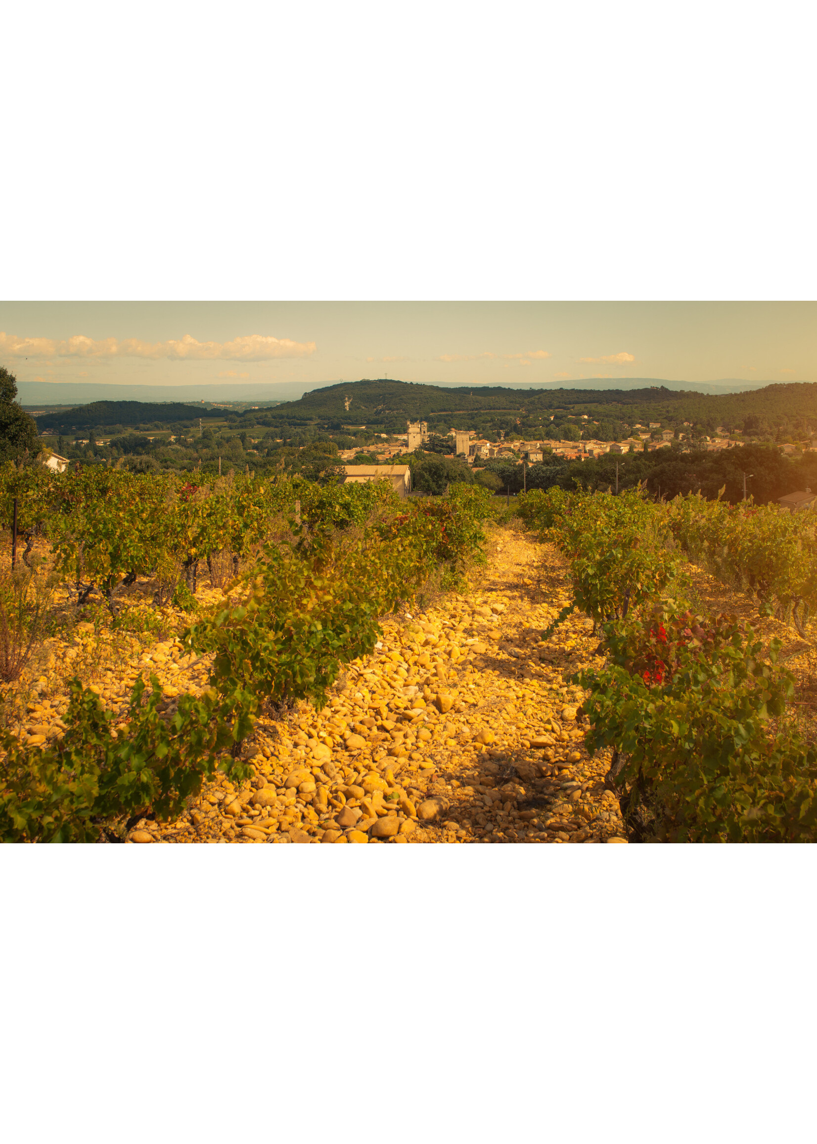 Coudoulis Le Petit Coudoulis Blanc, Rhone