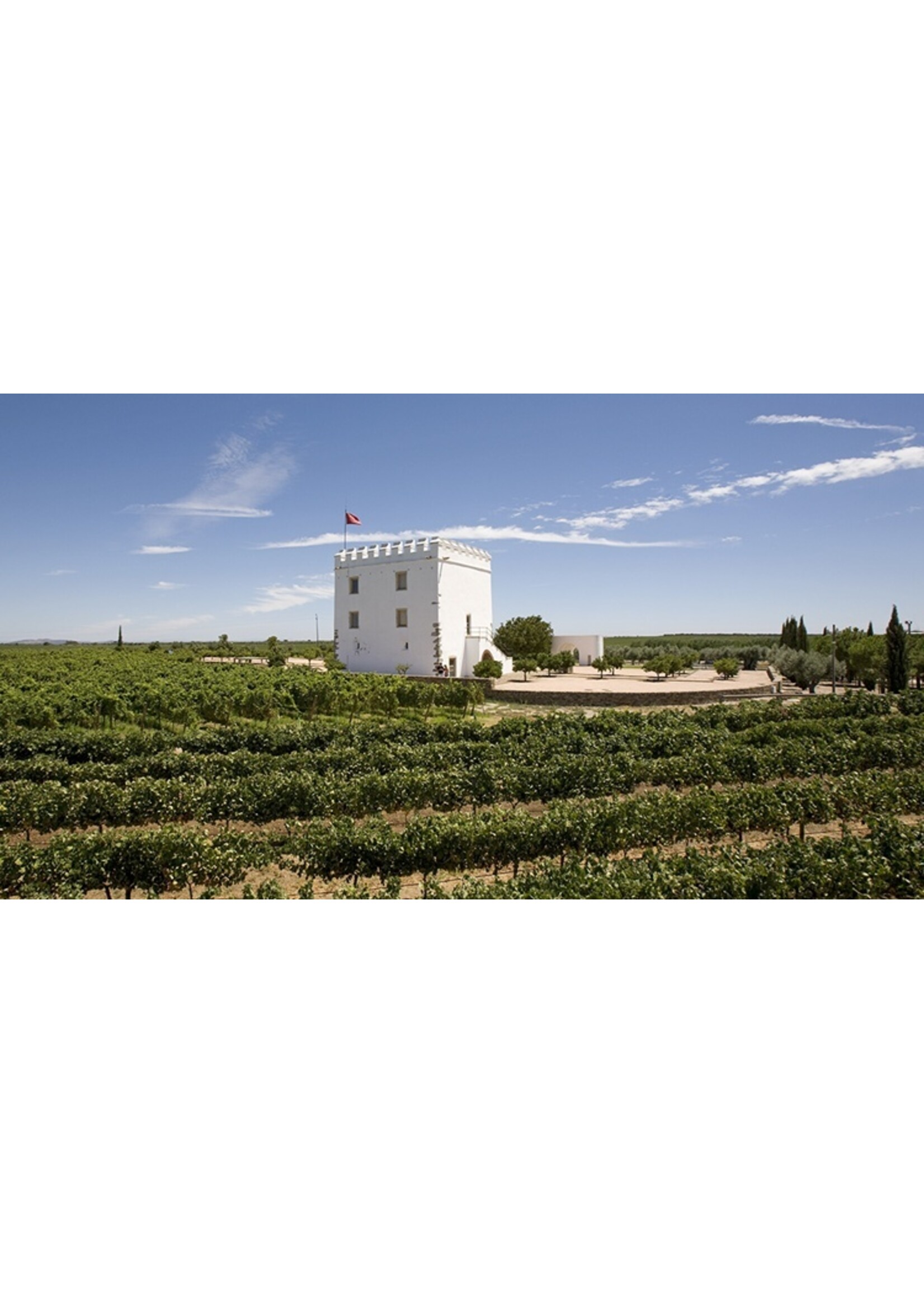 Esporâo Branco, Alentejo, Portugal (bio)