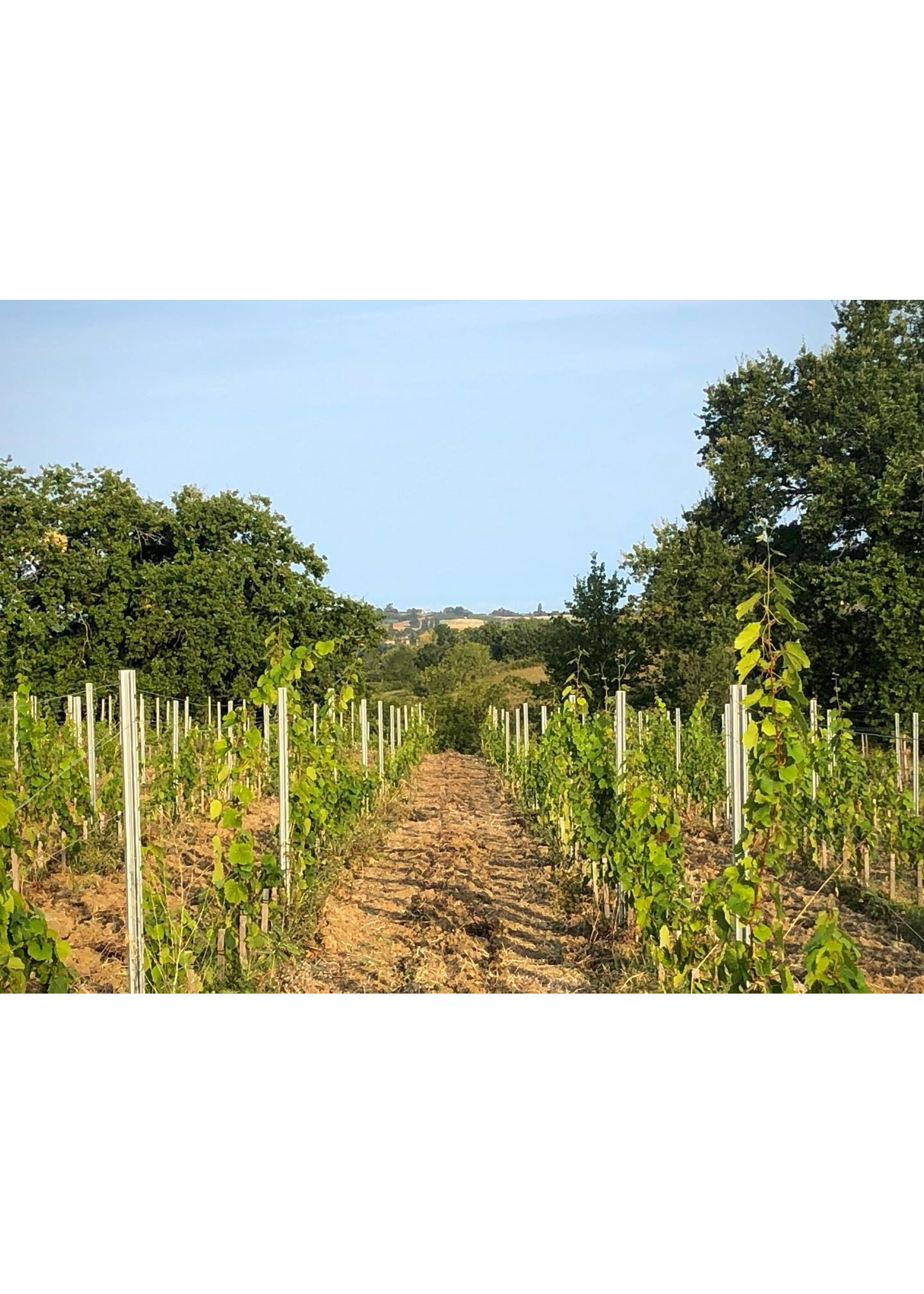 Dom. Julien Auroux, Bergerac, Frankrijk (bio)