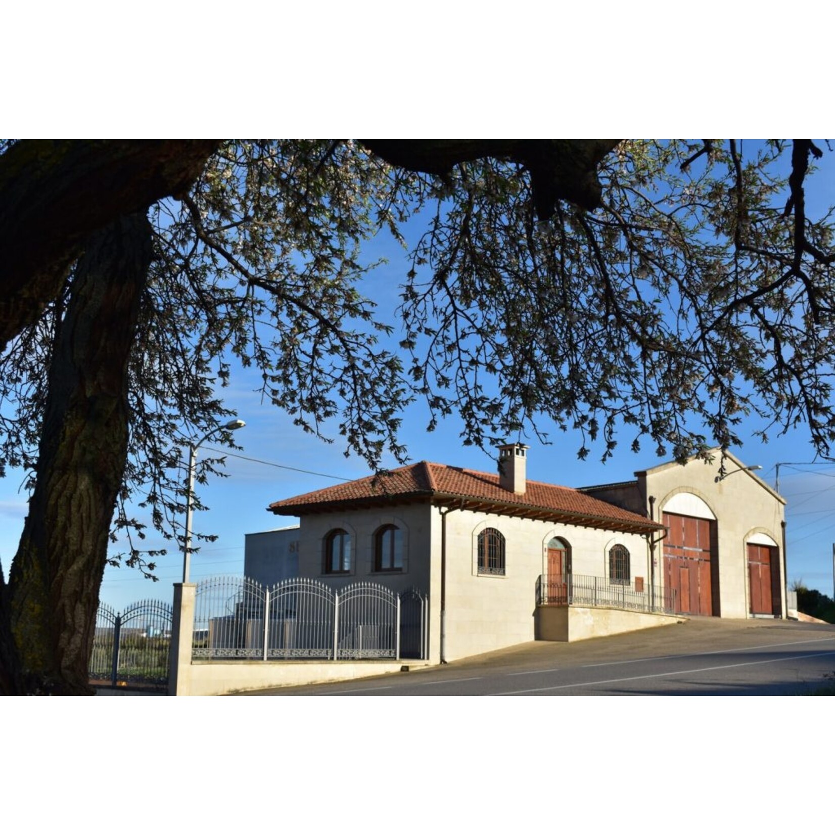 Librares Librares, Rioja, Spanje (bio), Garnacha