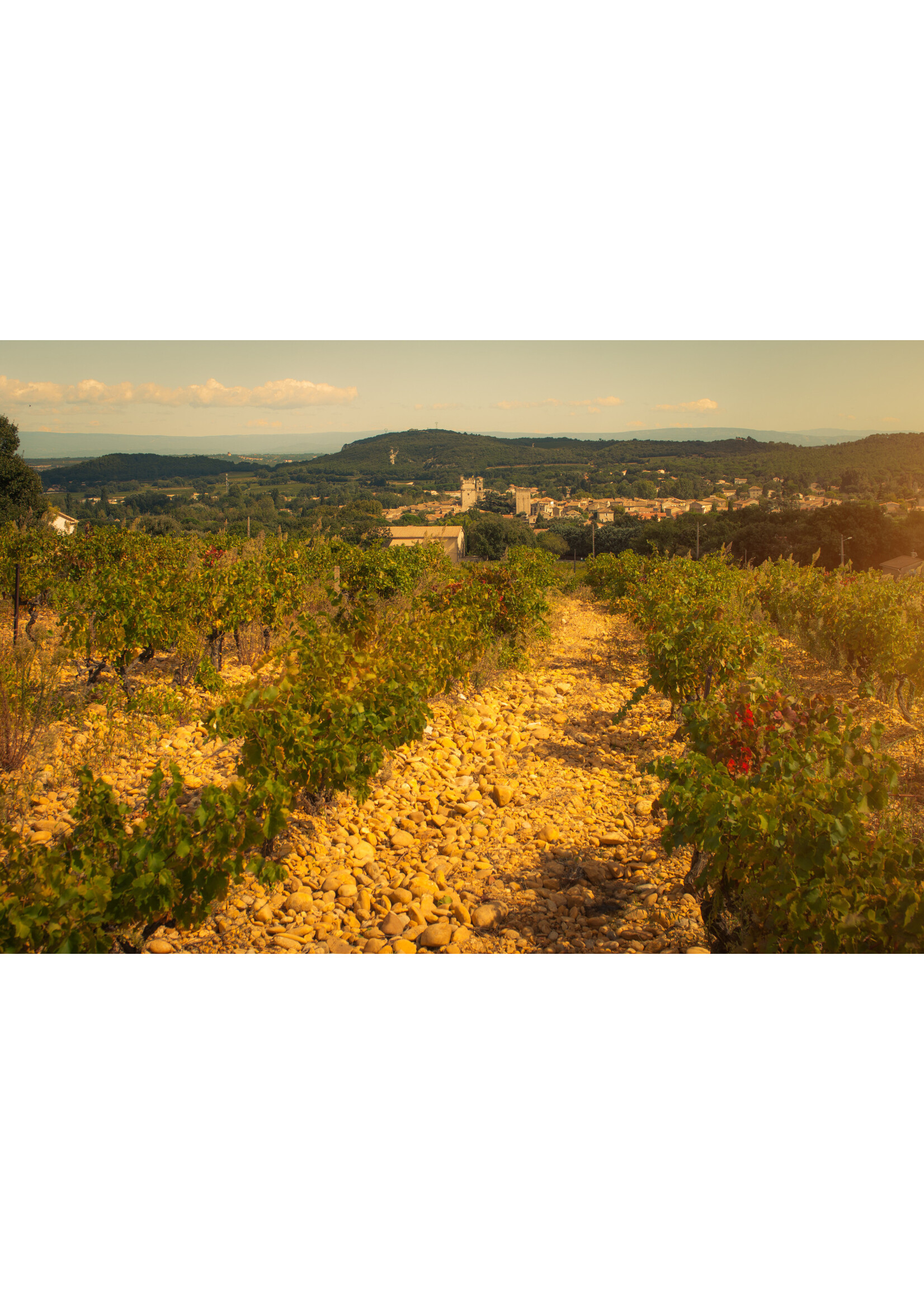 Coudoulis Coudoulis, Lirac, Frankrijk, Blanc (Euphorie)