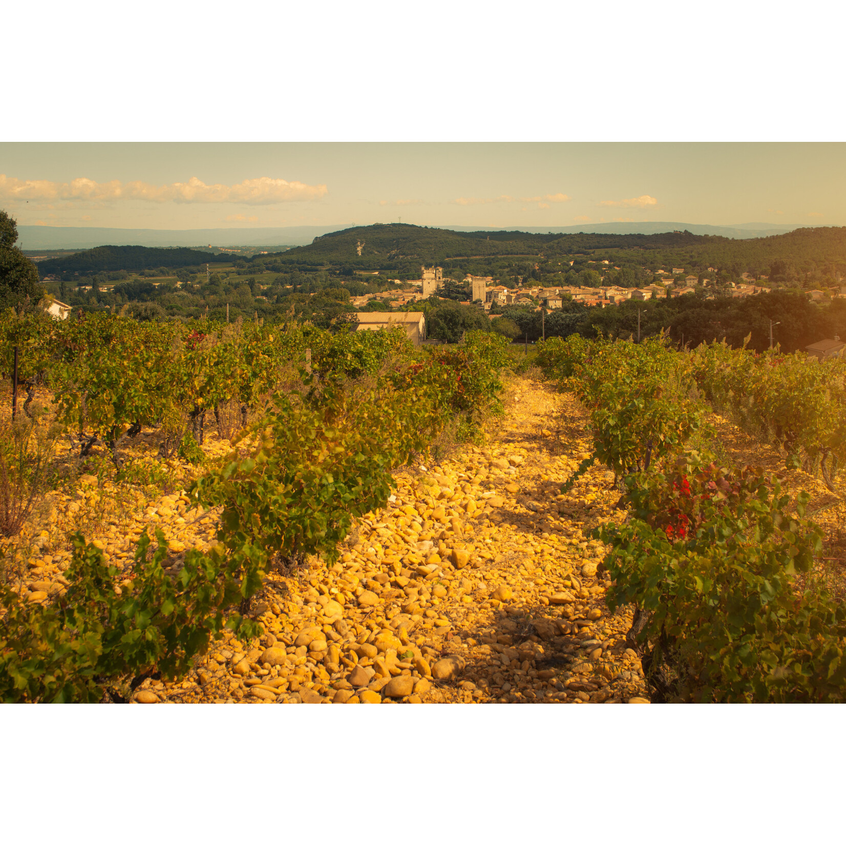 Coudoulis Coudoulis, Lirac, Frankrijk (bio), Rouge (Hommage)