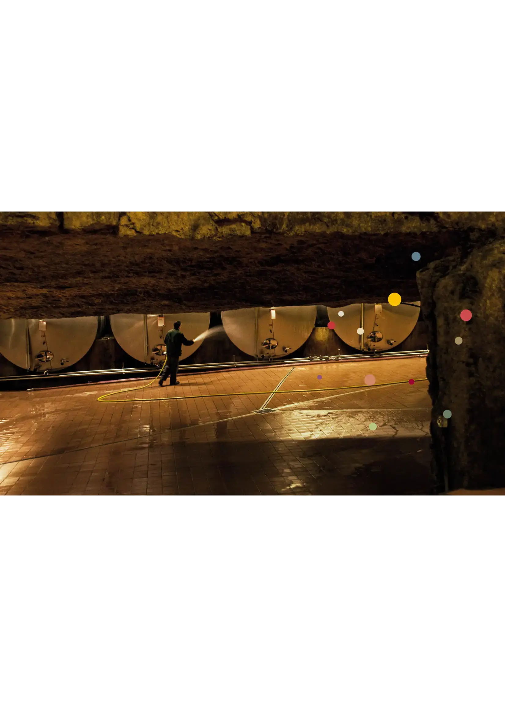 Bailly Reverdy, Cremant de Bourgogne, Frankrijk