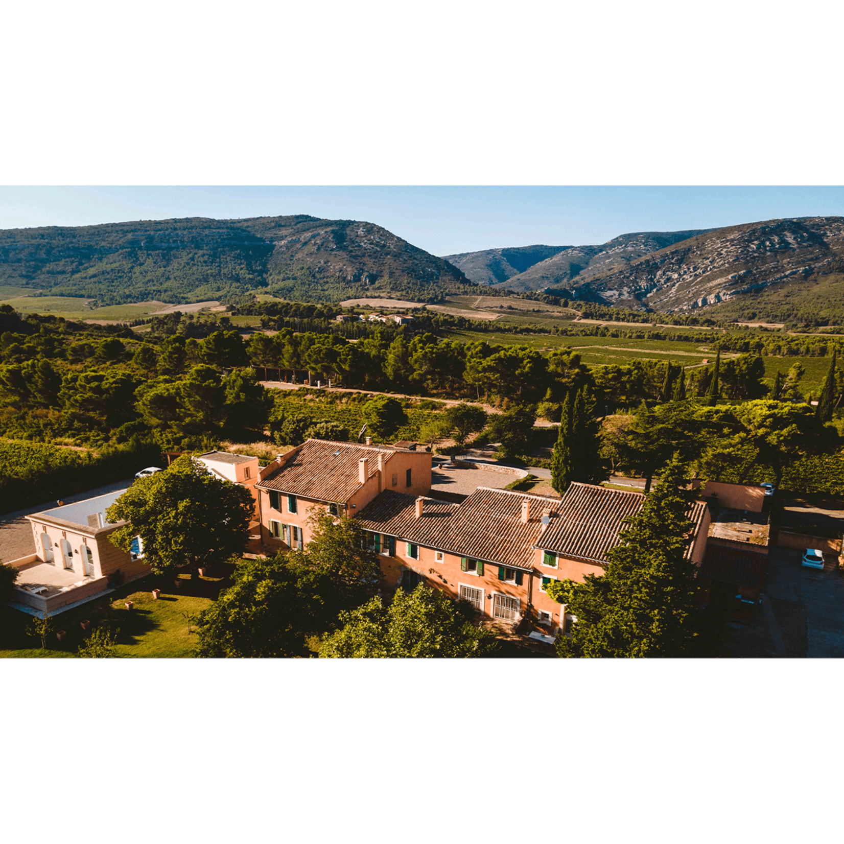 Claude Vialade Belles du Sud,  Maranne / Rousanne, Pays d'Oc, Frankrijk