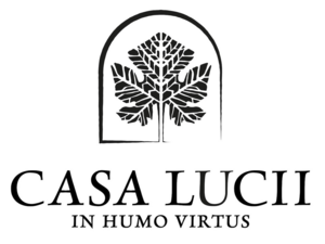 Casa Lucii