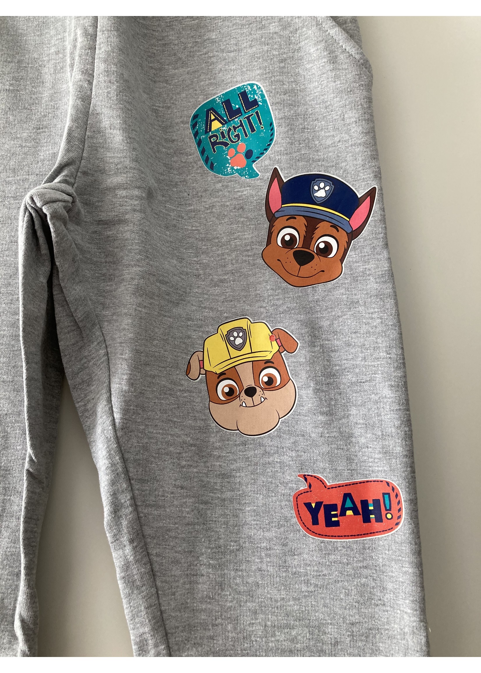 Nickelodeon Paw Patrol jogging pants from Nickelodeon gray