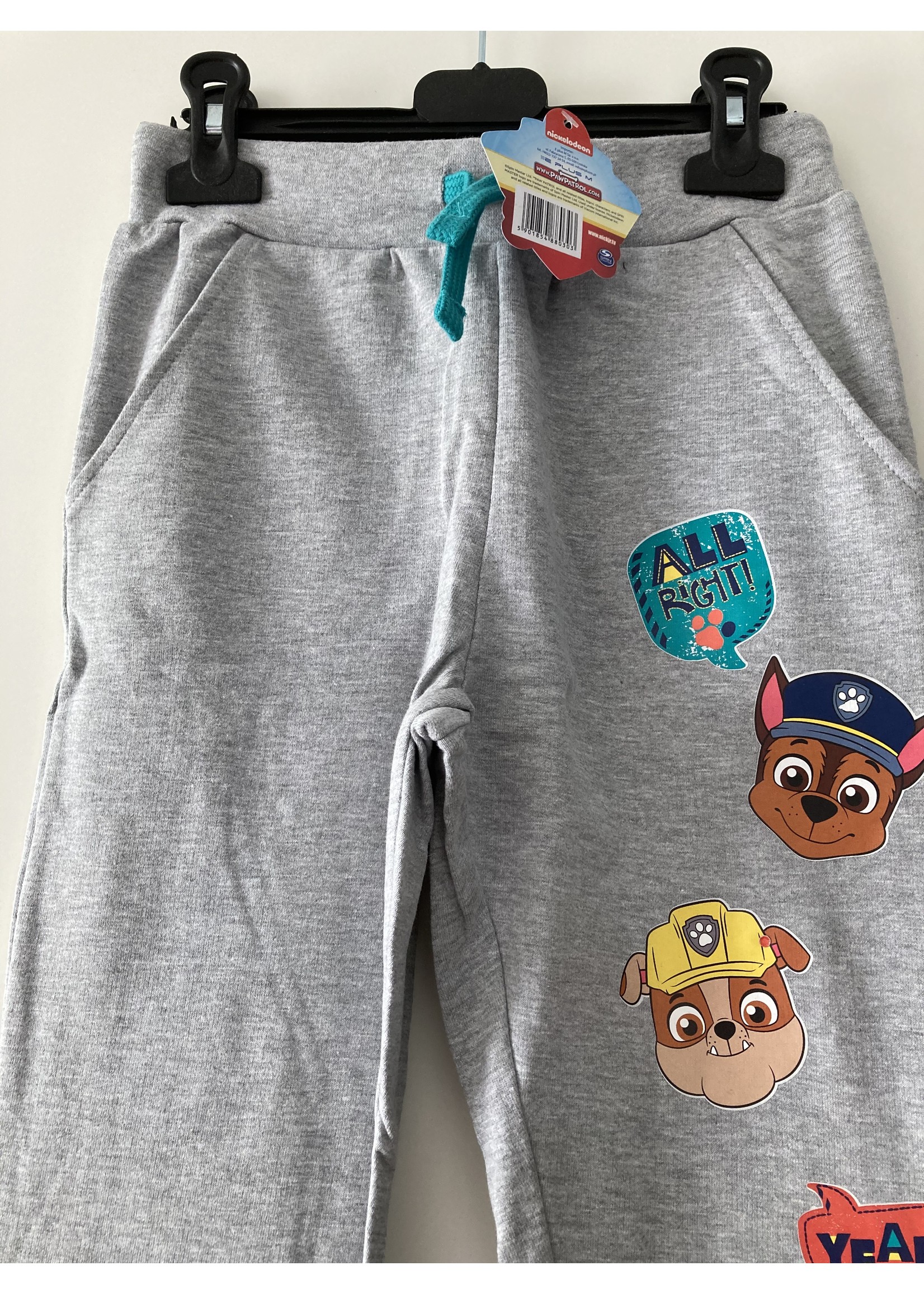 Nickelodeon Paw Patrol jogging pants from Nickelodeon gray