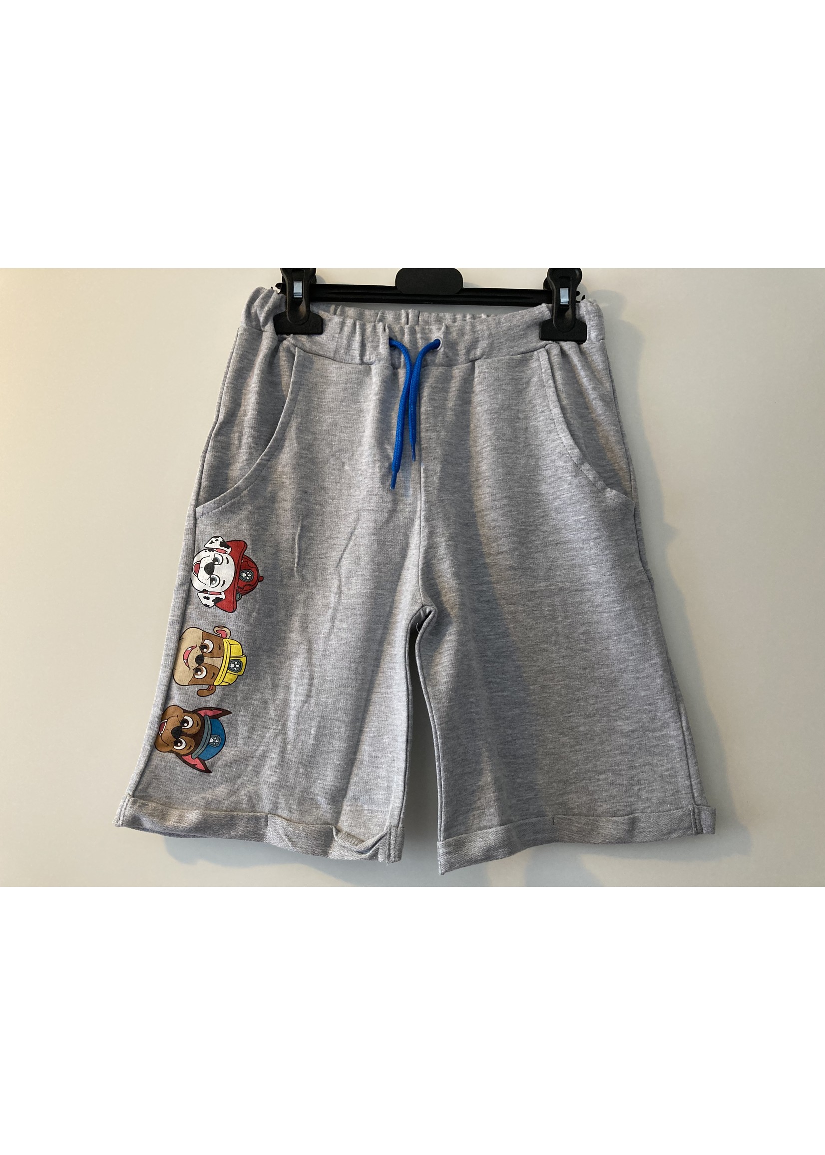 Nickelodeon Paw Patrol shorts from Nickelodeon gray