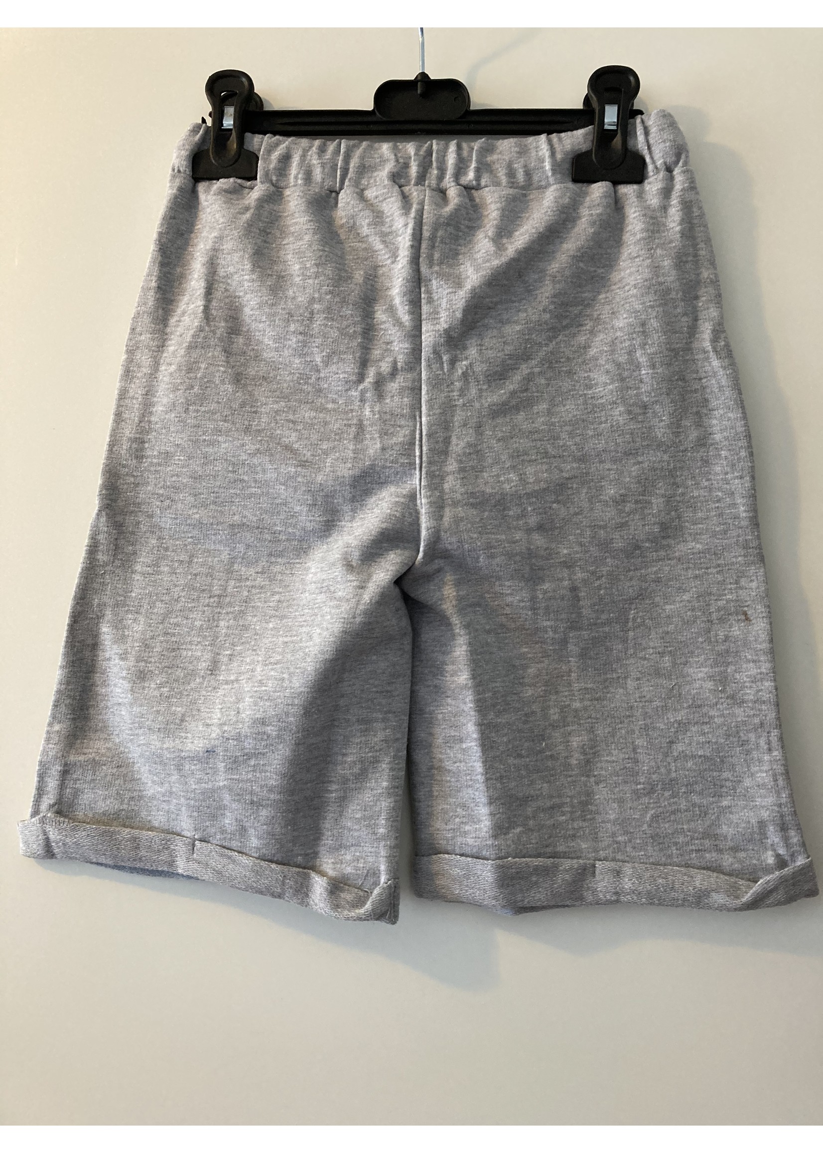 Nickelodeon Paw Patrol shorts from Nickelodeon gray