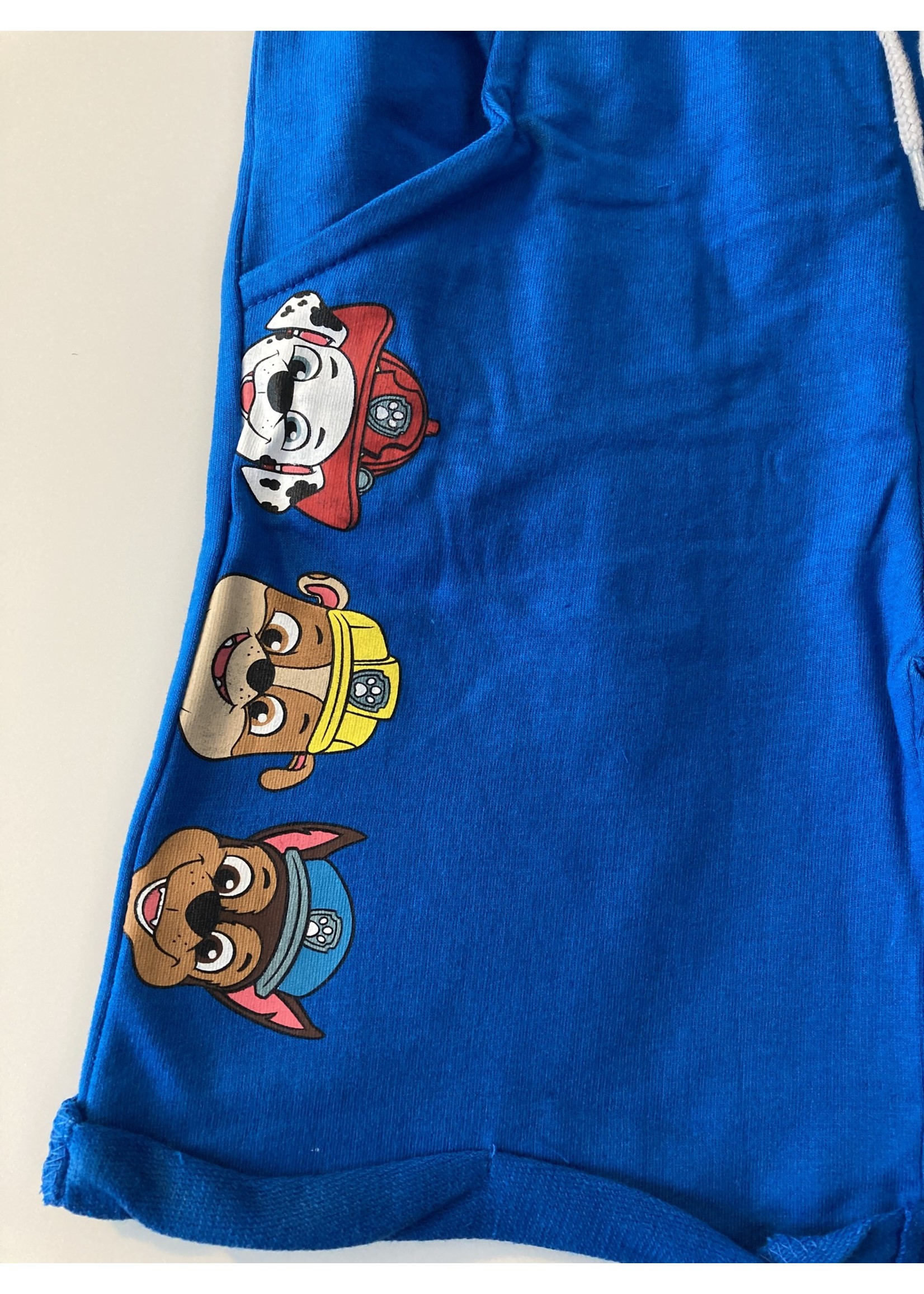 Nickelodeon Paw Patrol shorts from Nickelodeon blue