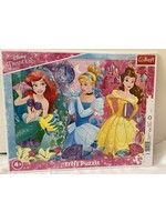 Disney Puzzel Prinsess