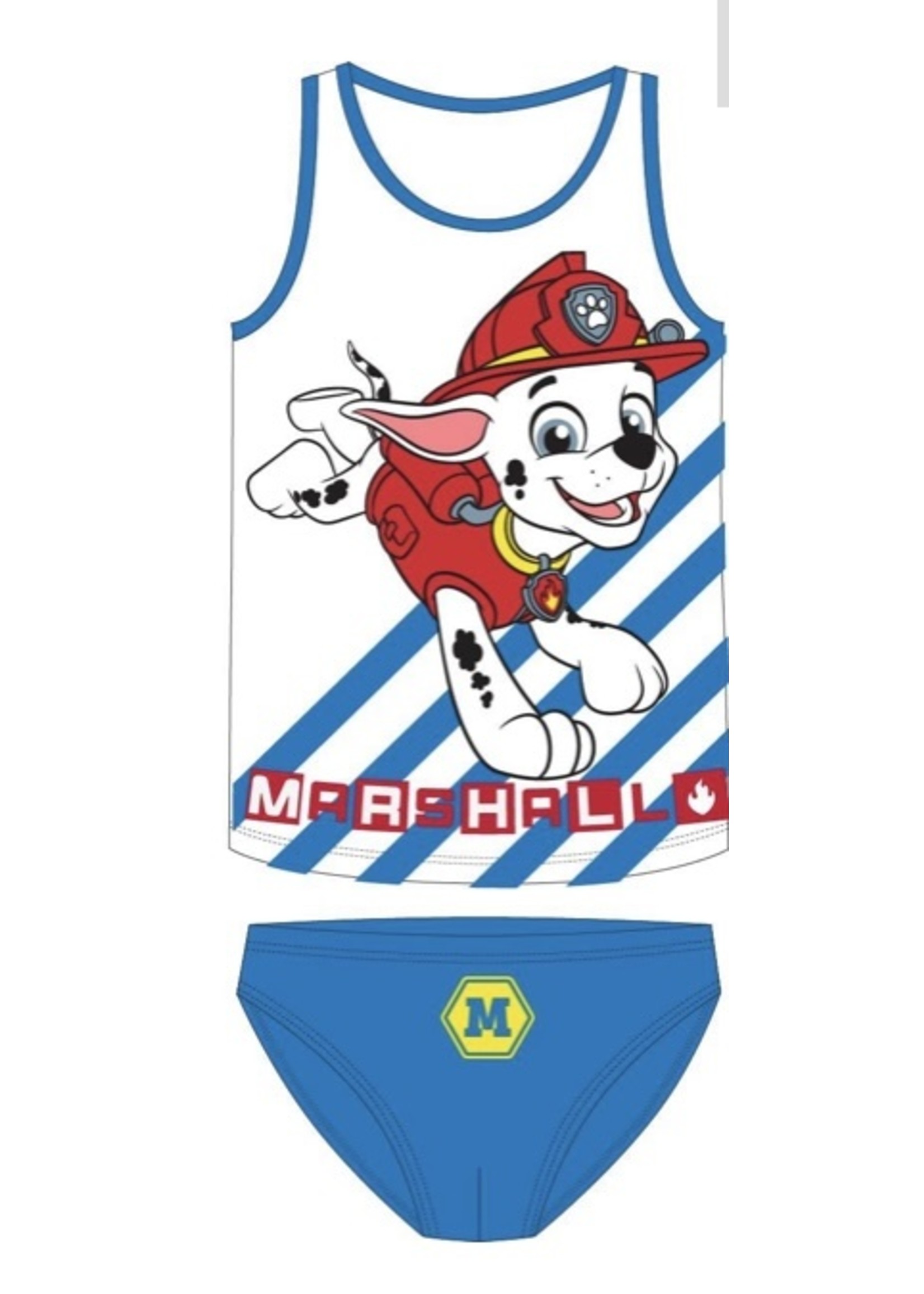 Paw Patrol underwear from Nickelodeon blue 