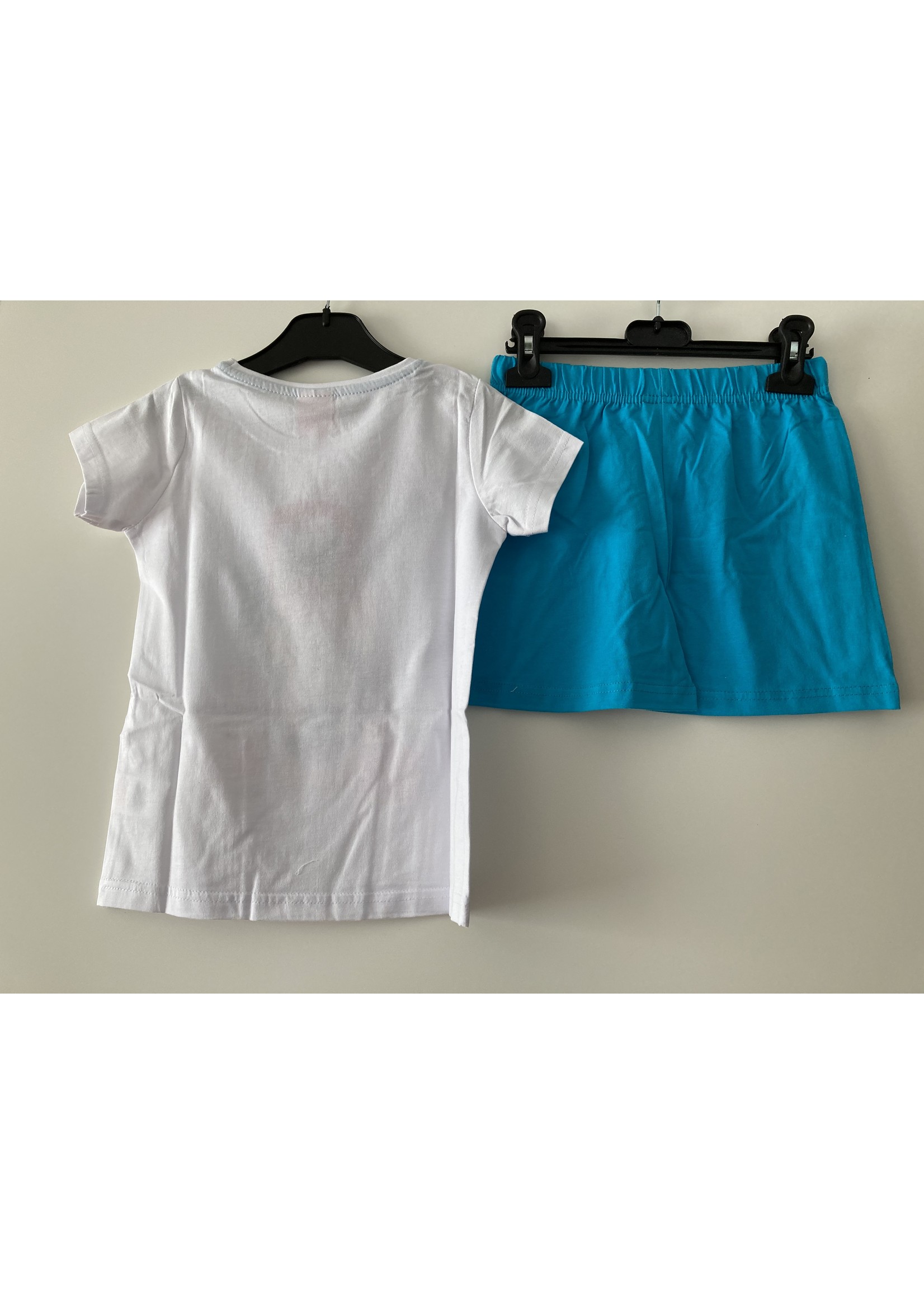 Bing Zomerset van Bing blauw