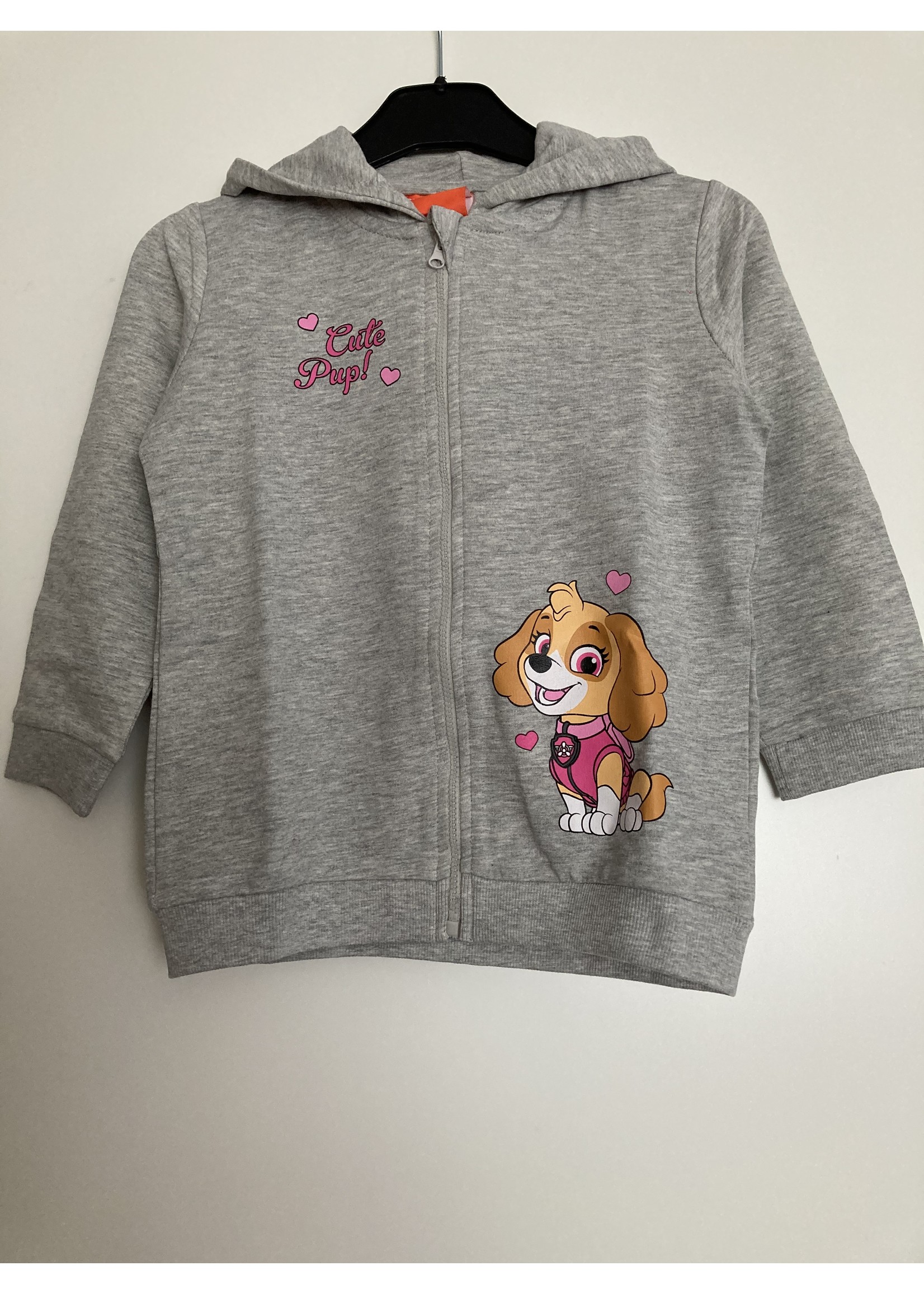 Nickelodeon Paw Patrol vest from Nickelodeon gray