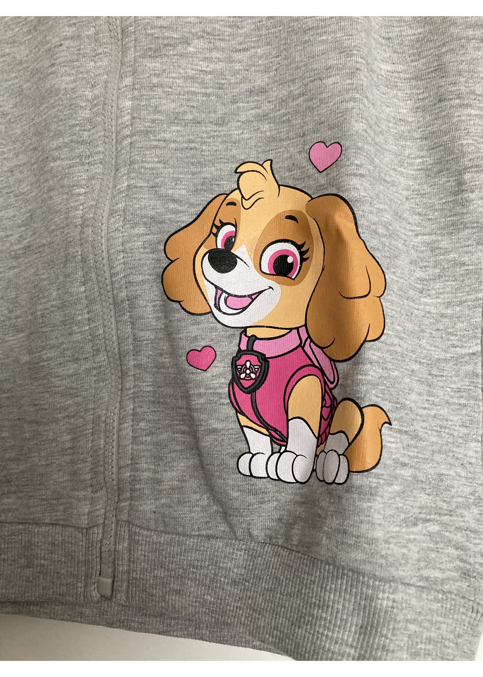 Nickelodeon Paw Patrol vest from Nickelodeon gray