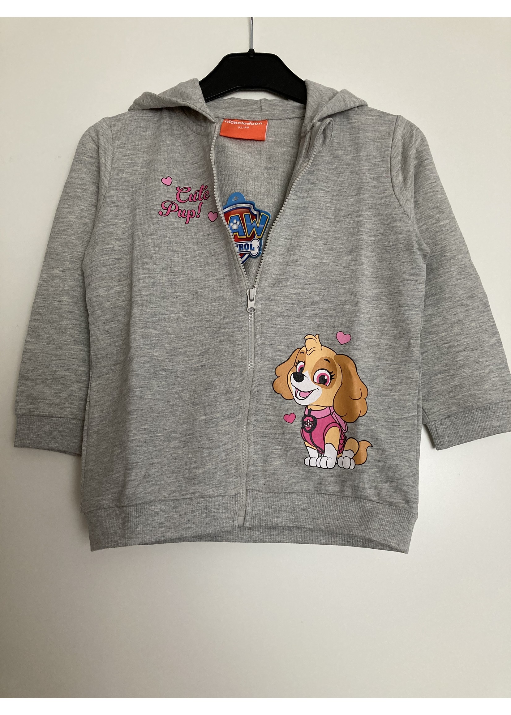 Nickelodeon Paw Patrol vest from Nickelodeon gray