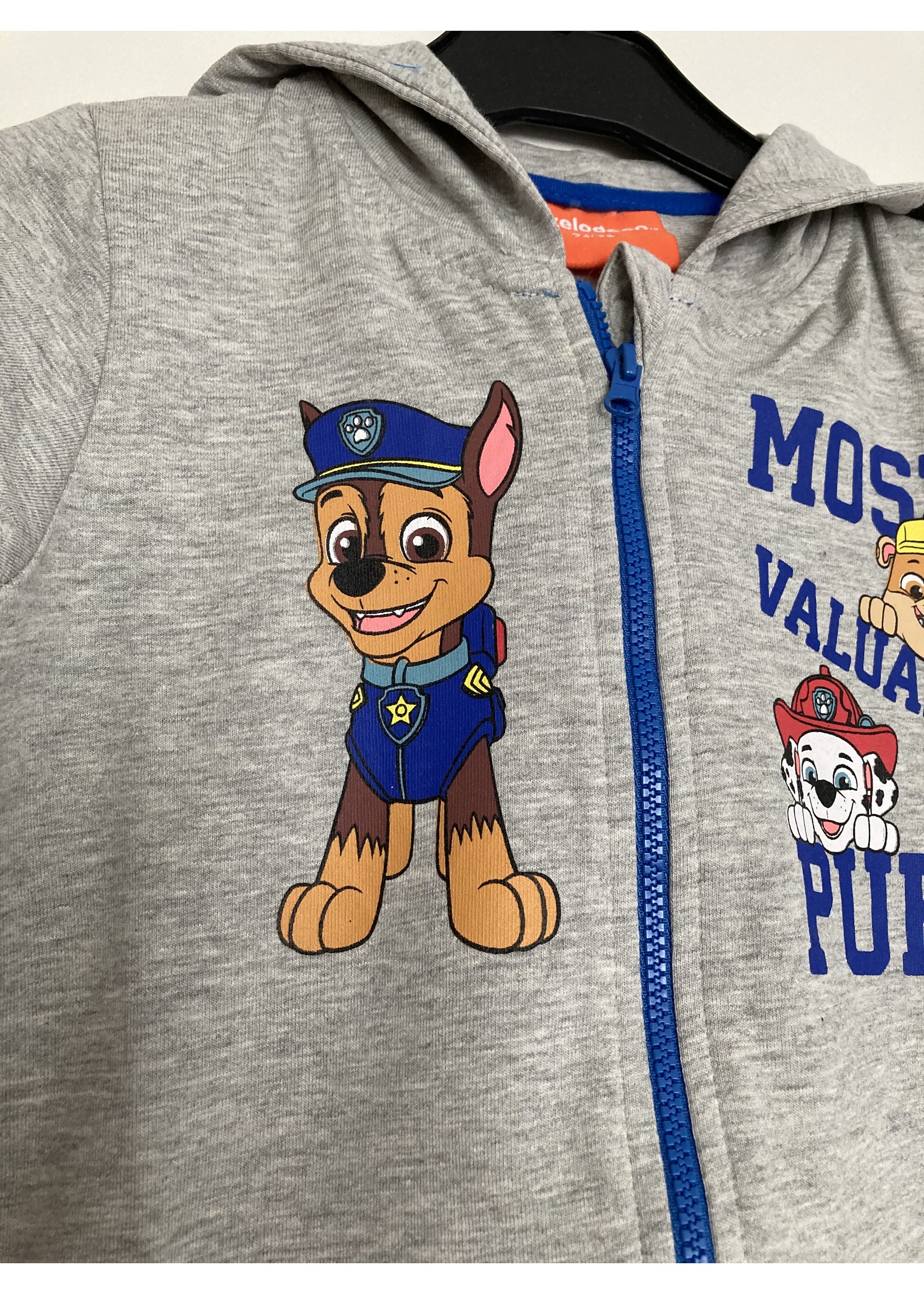 Nickelodeon Paw Patrol vest from Nickelodeon gray