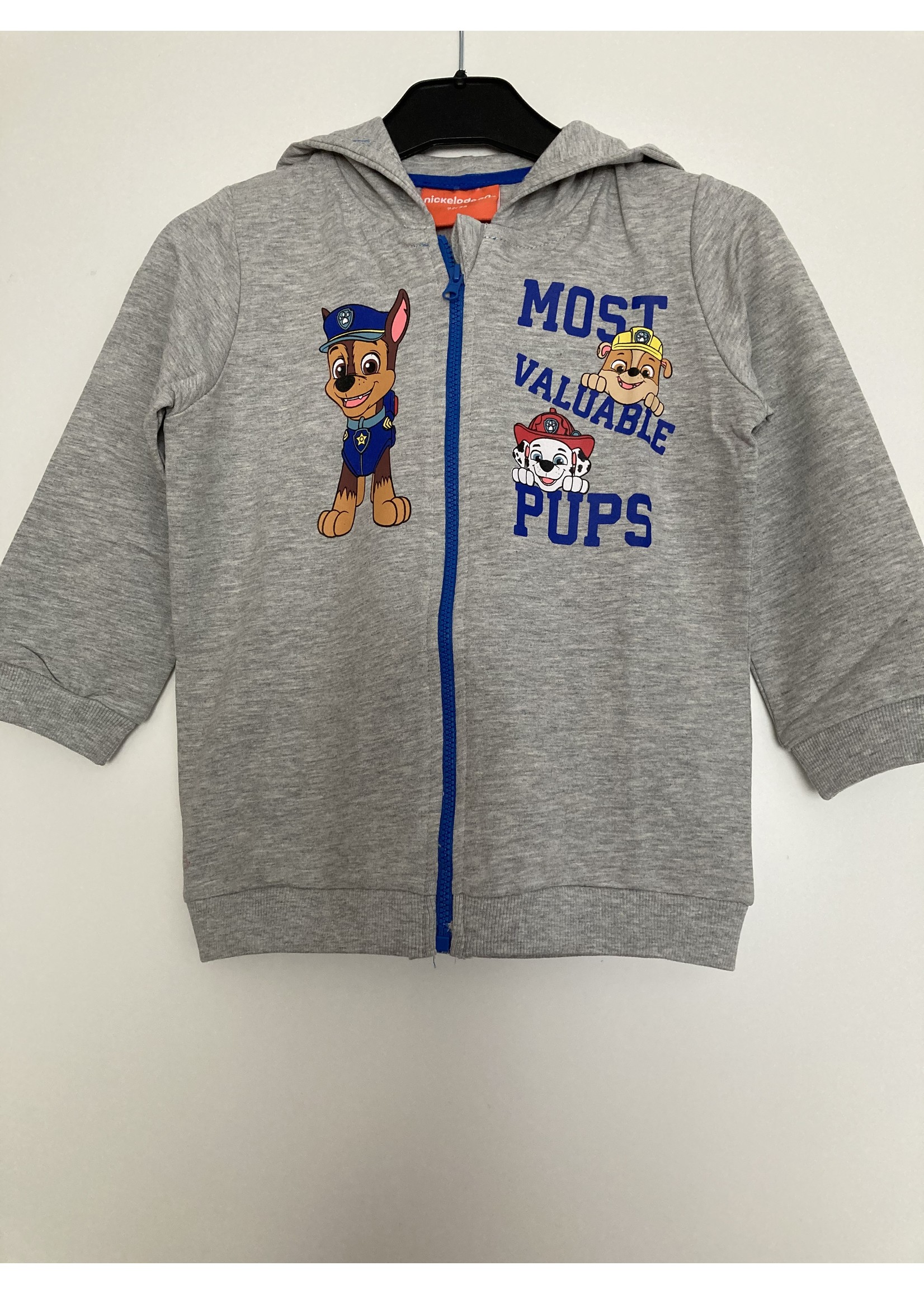 Nickelodeon Paw Patrol vest from Nickelodeon gray