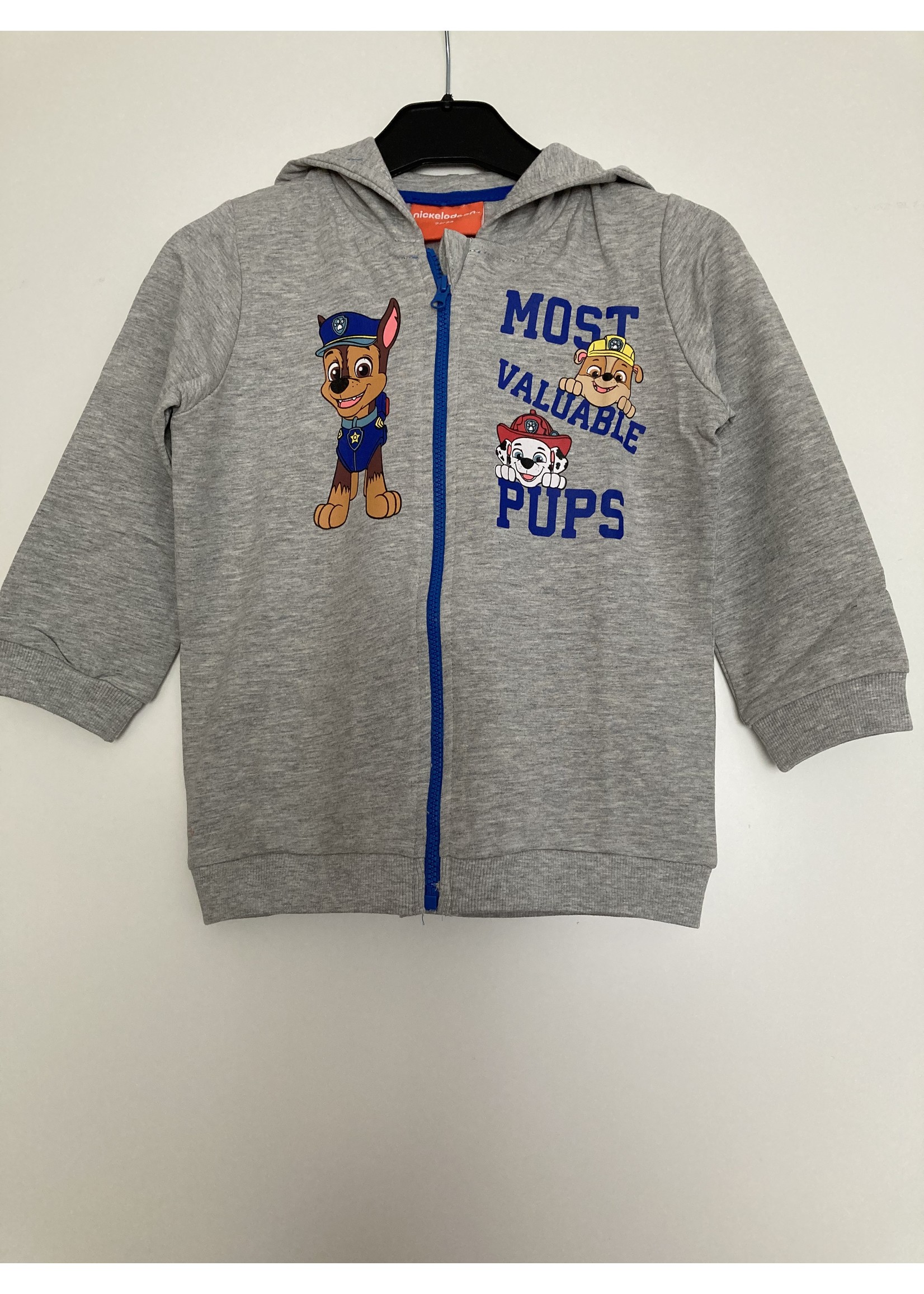 Nickelodeon Paw Patrol vest from Nickelodeon gray