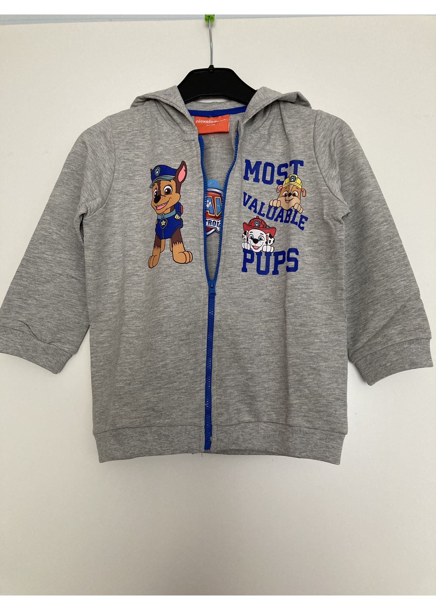 Nickelodeon Paw Patrol vest van Nickelodeon grijs