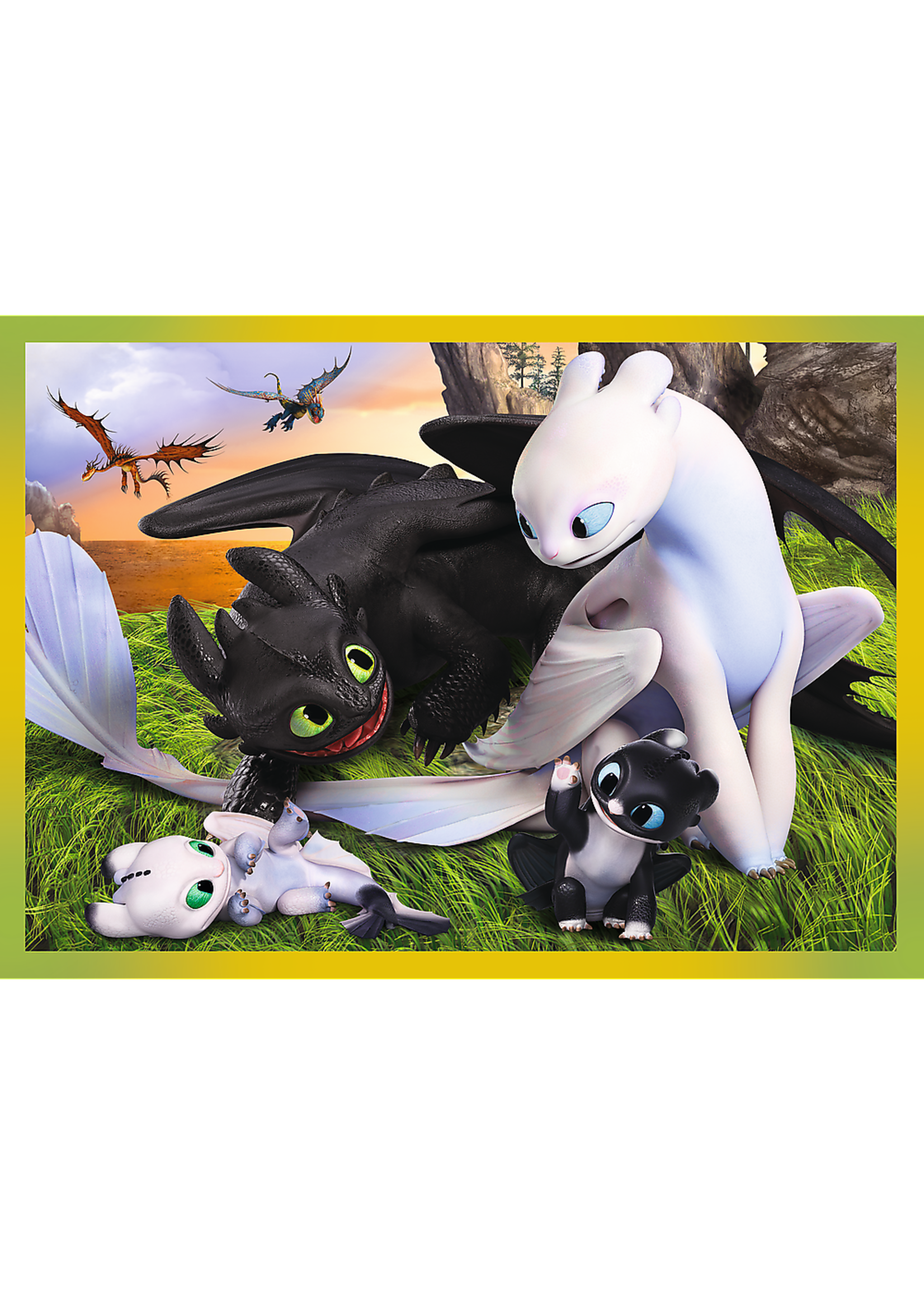 DreamWorks Dragons 4 in 1 puzzle from DreamWorks