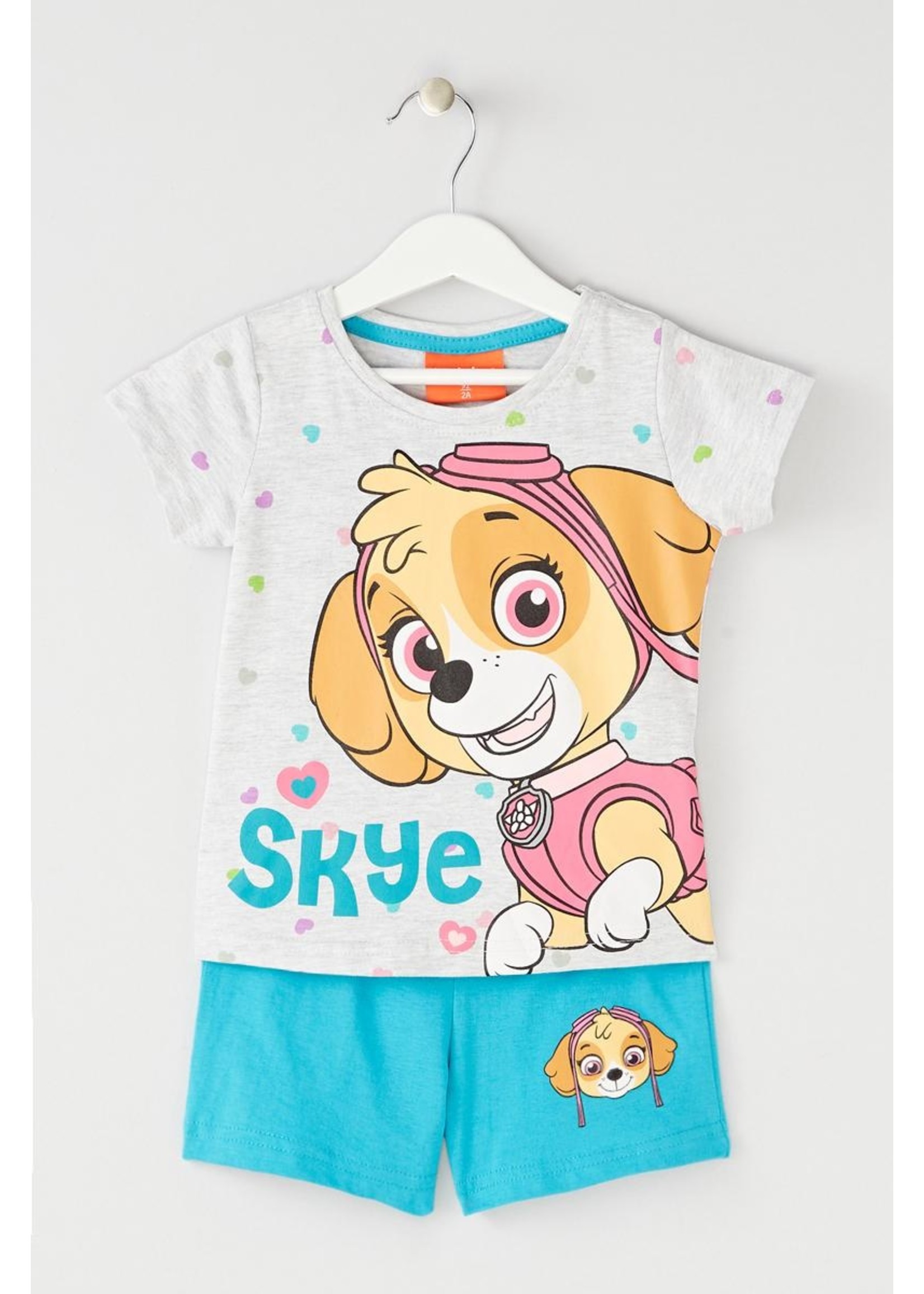 Nickelodeon Paw Patrol pajamas from Nickelodeon gray