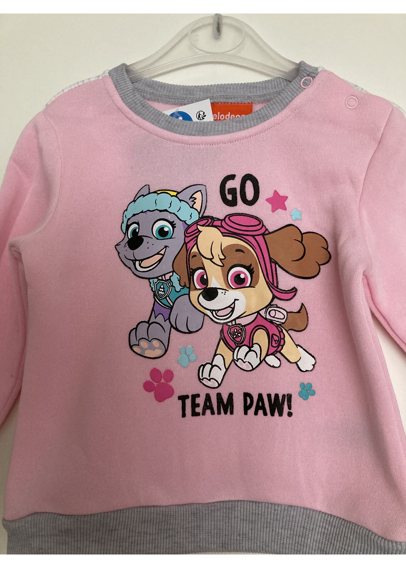 Nickelodeon Paw Patrol jogging suit from Nickelodeon light pink