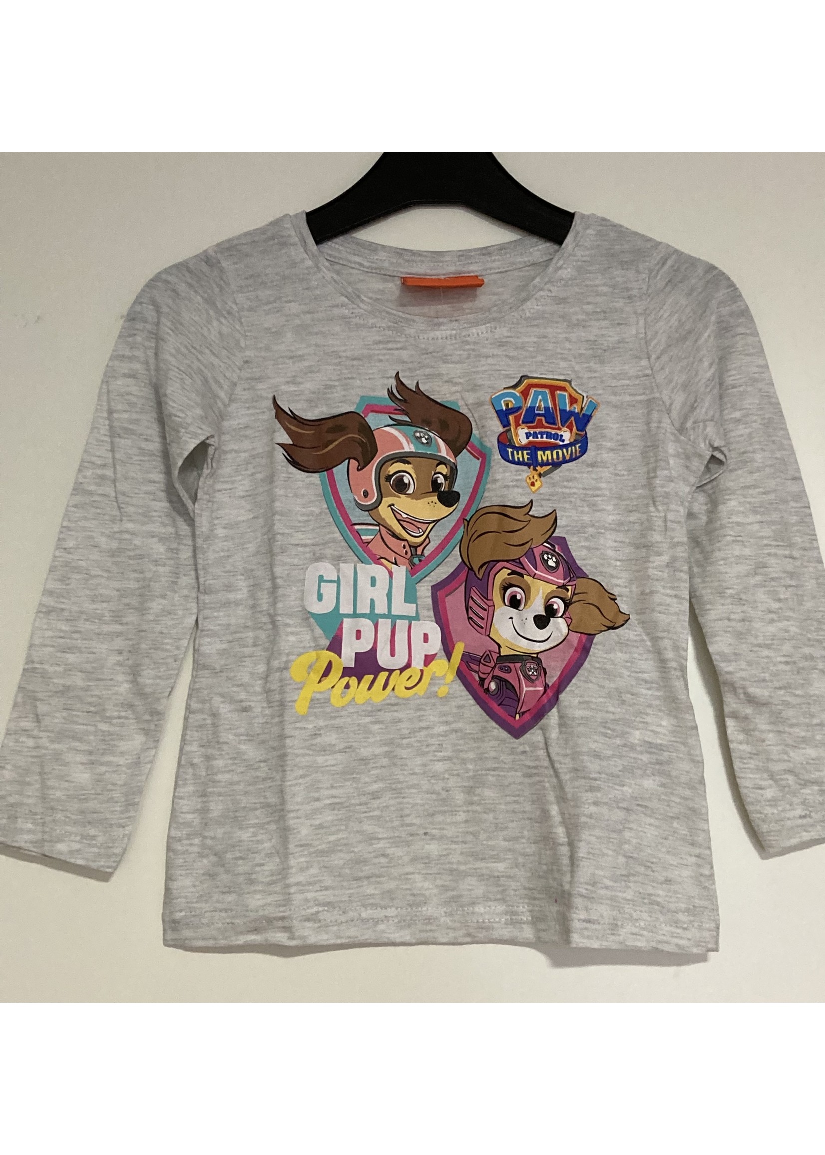 Nickelodeon Paw Patrol longsleeve van Nickelodeon lichtgrijs