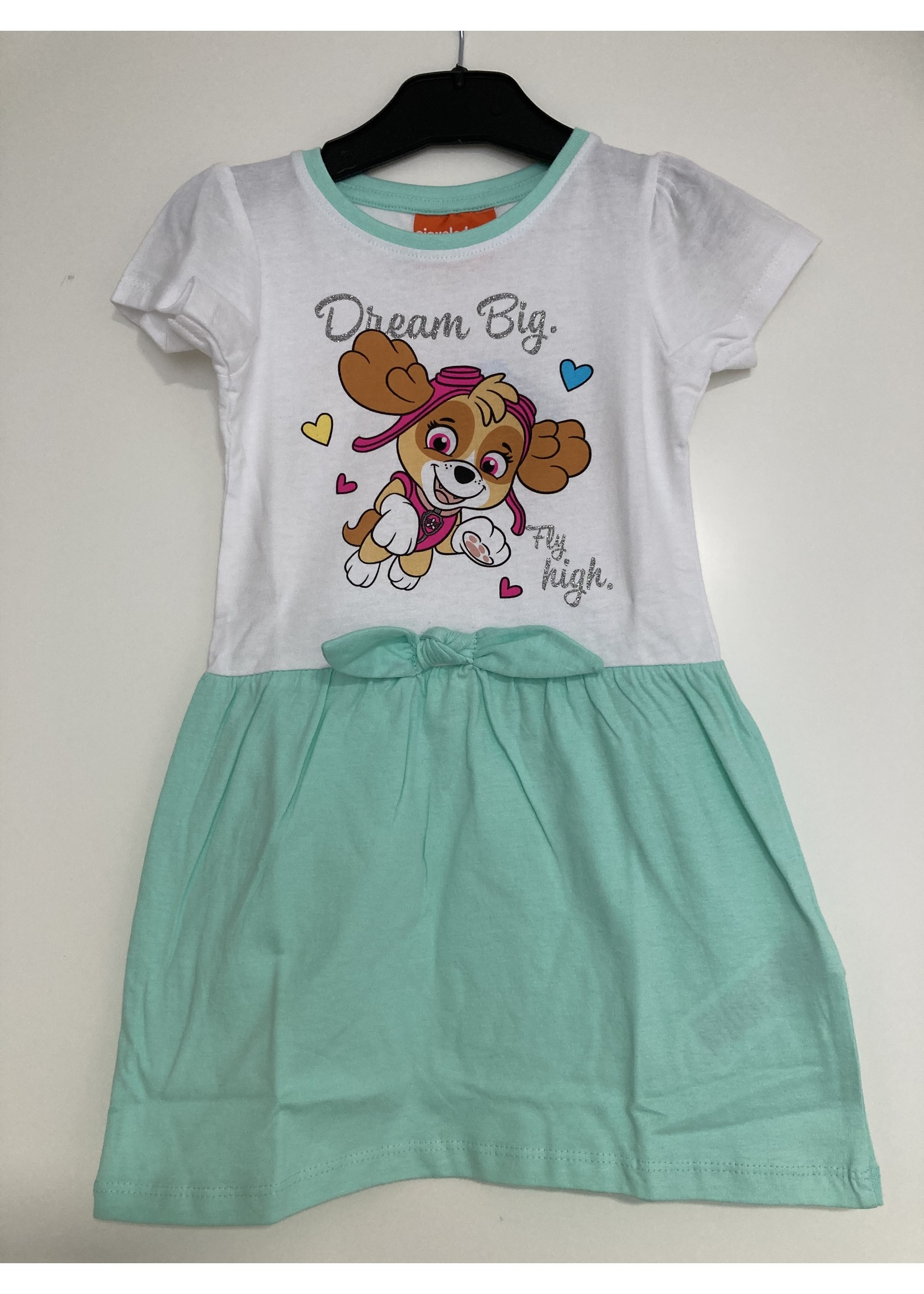 Nickelodeon Paw Patrol dress from Nickelodeon green