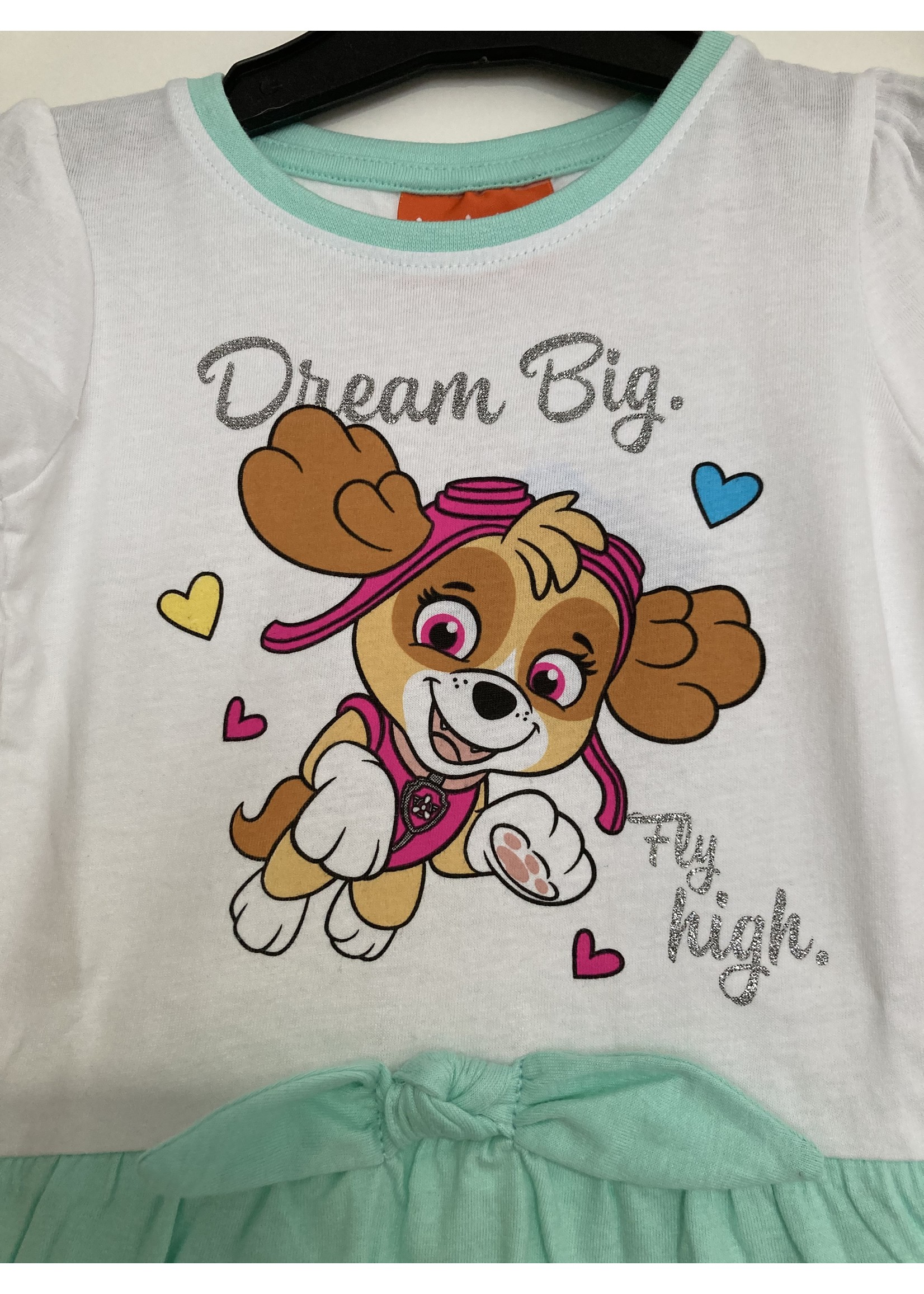 Nickelodeon Paw Patrol dress from Nickelodeon green